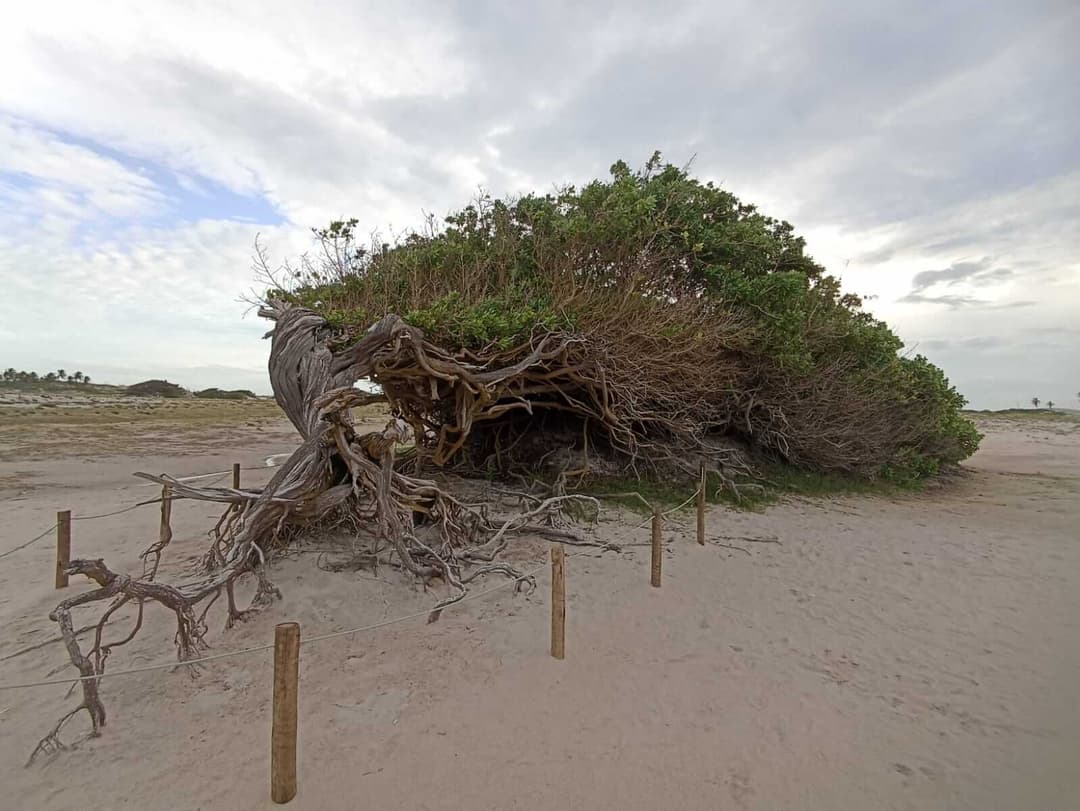 Post com o título: Preços Atualizados - Jericoacoara (Maio/2022)