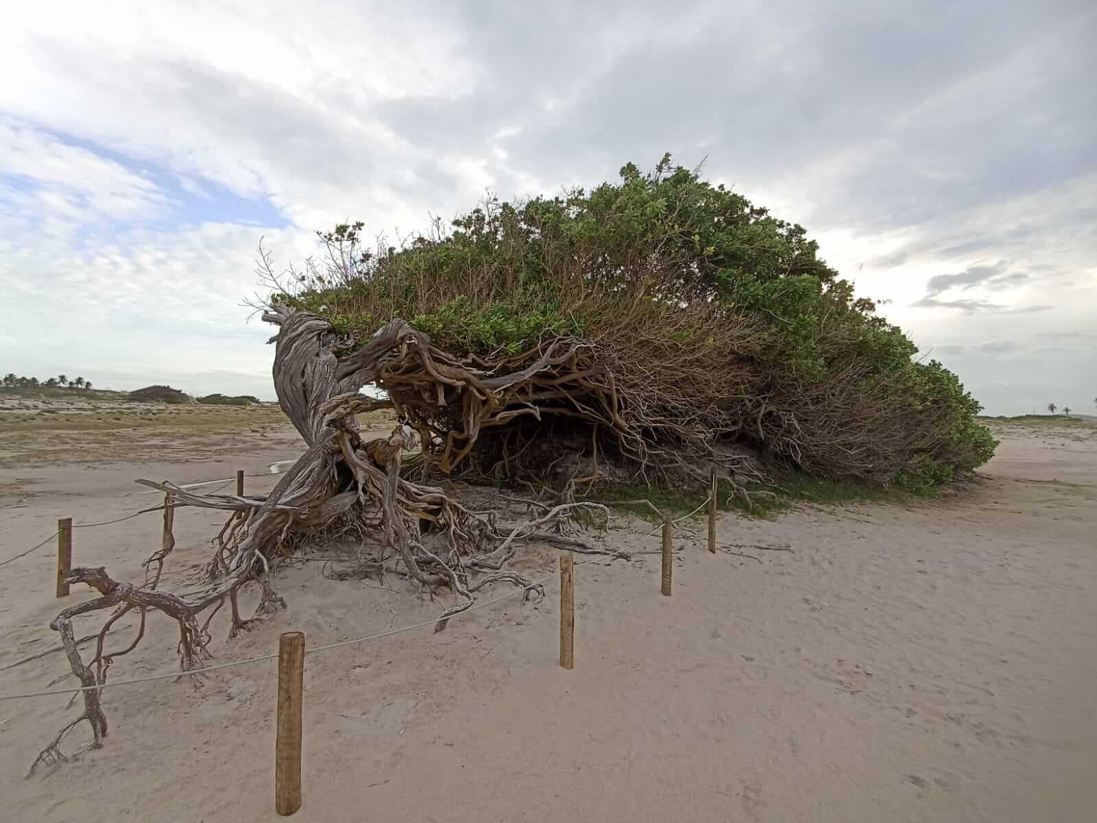 Preços Atualizados - Jericoacoara (Maio/2022)